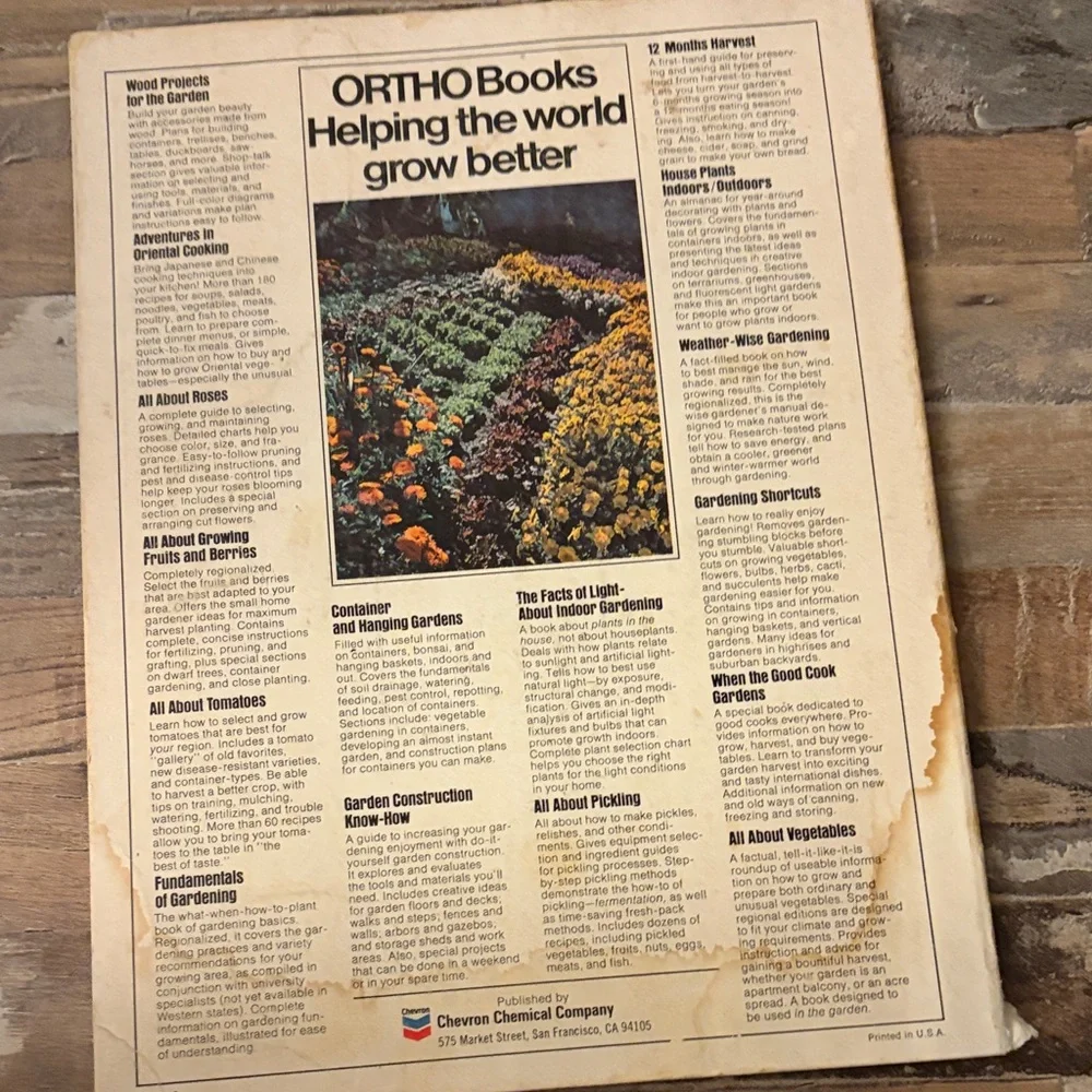 All About Roses - Pink - Picture 2 of 6